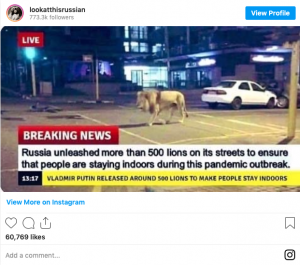 Some said Putin released 500 lions